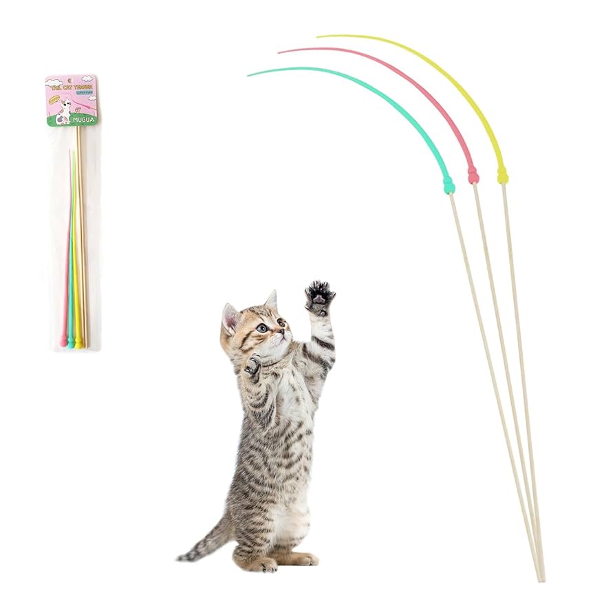 キャンバス油絵　専用　サビ猫ジジちゃんのわくわく散歩♪♪ キャンバス油絵 専用 サビ猫ジジちゃんのわくわく散歩