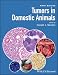 Tumors in Domestic Animals