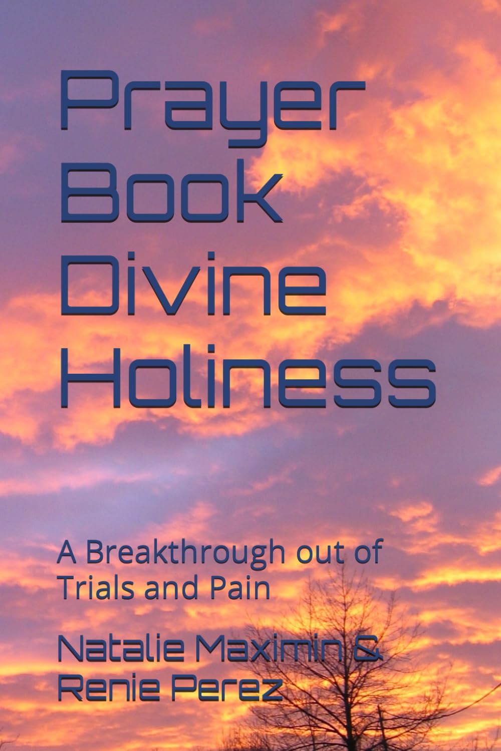 Prayer Book Divine Holiness: A Breakthrough out of Trials and Pain