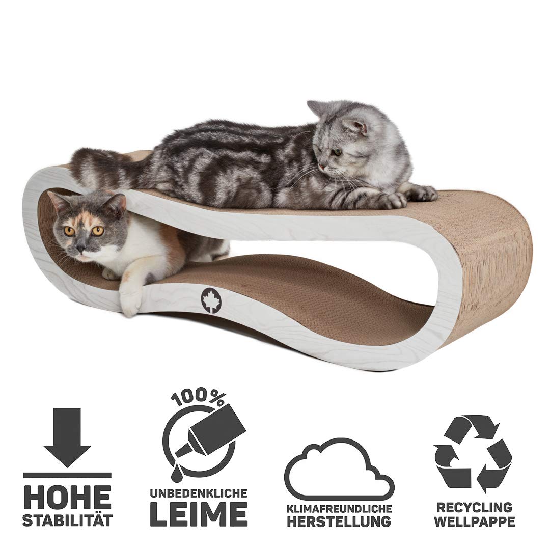 CanadianCat