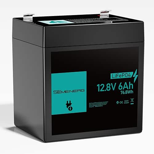 12V 6Ah LiFePO4 Lithium Battery with 10A BMS Intelligent Protection,