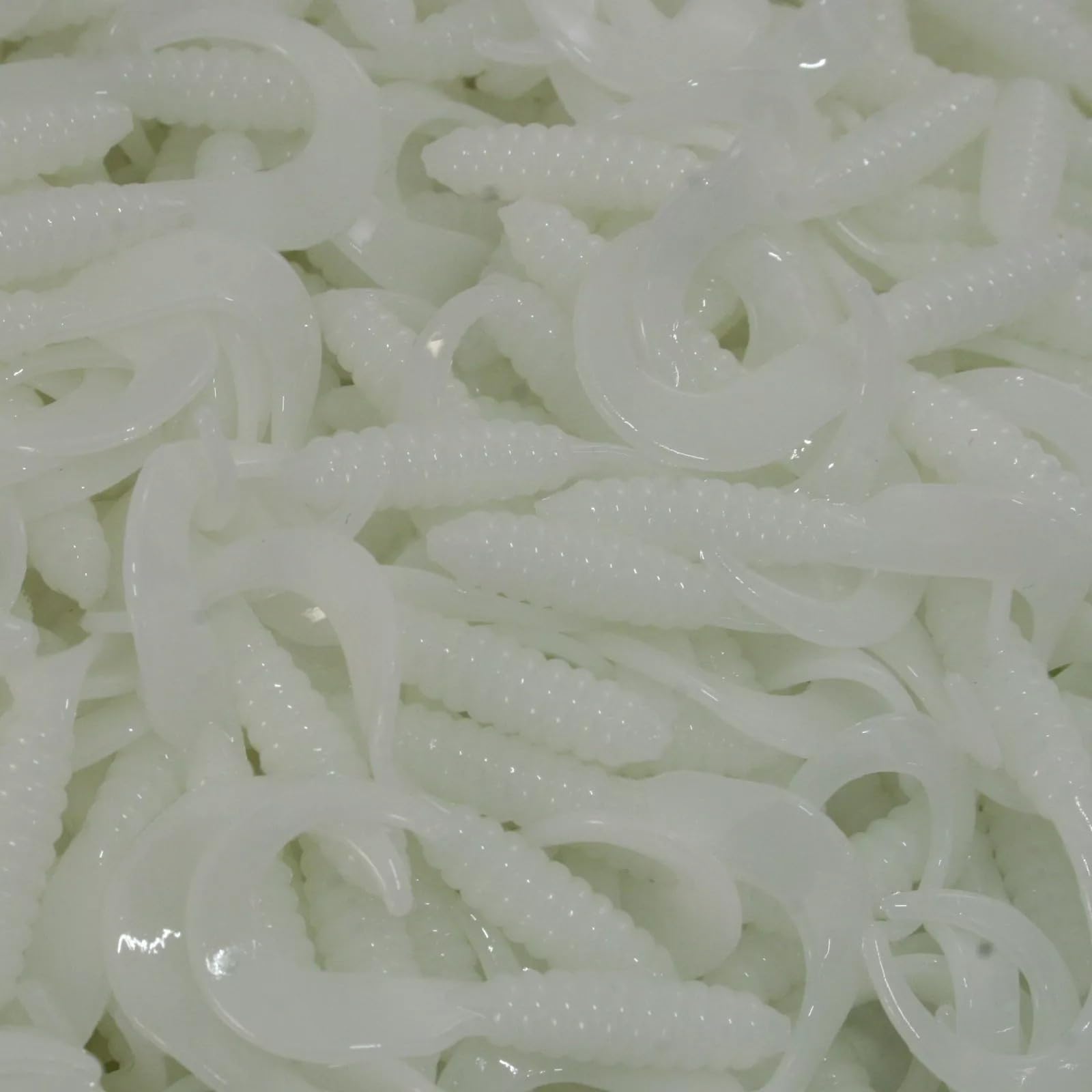 Pescare In Mare L'Orata Come E Dove Pescare Le Orate Esche E Tecnica - Foto 6