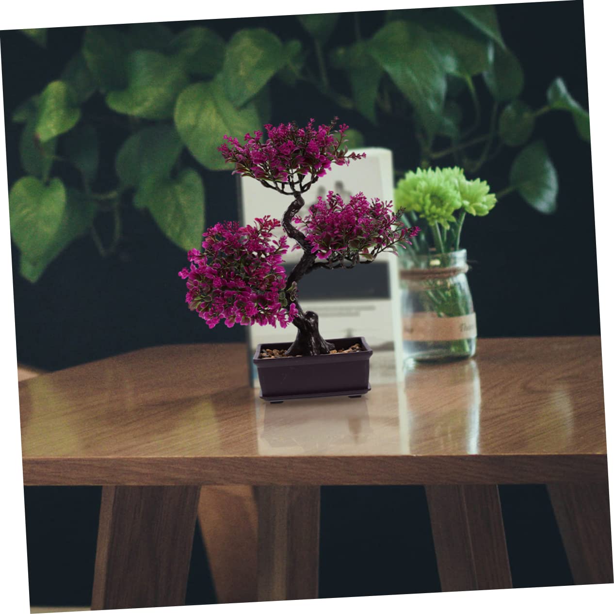 2pezzi Piante Grasse Finte Decorative Vaso Bonsai Simulato Per Decorazioni Da Stile Elegante e Moderno Facile Manutenzione e Rinnovo Degli Ambienti Adatto Per Casa e Ufficio