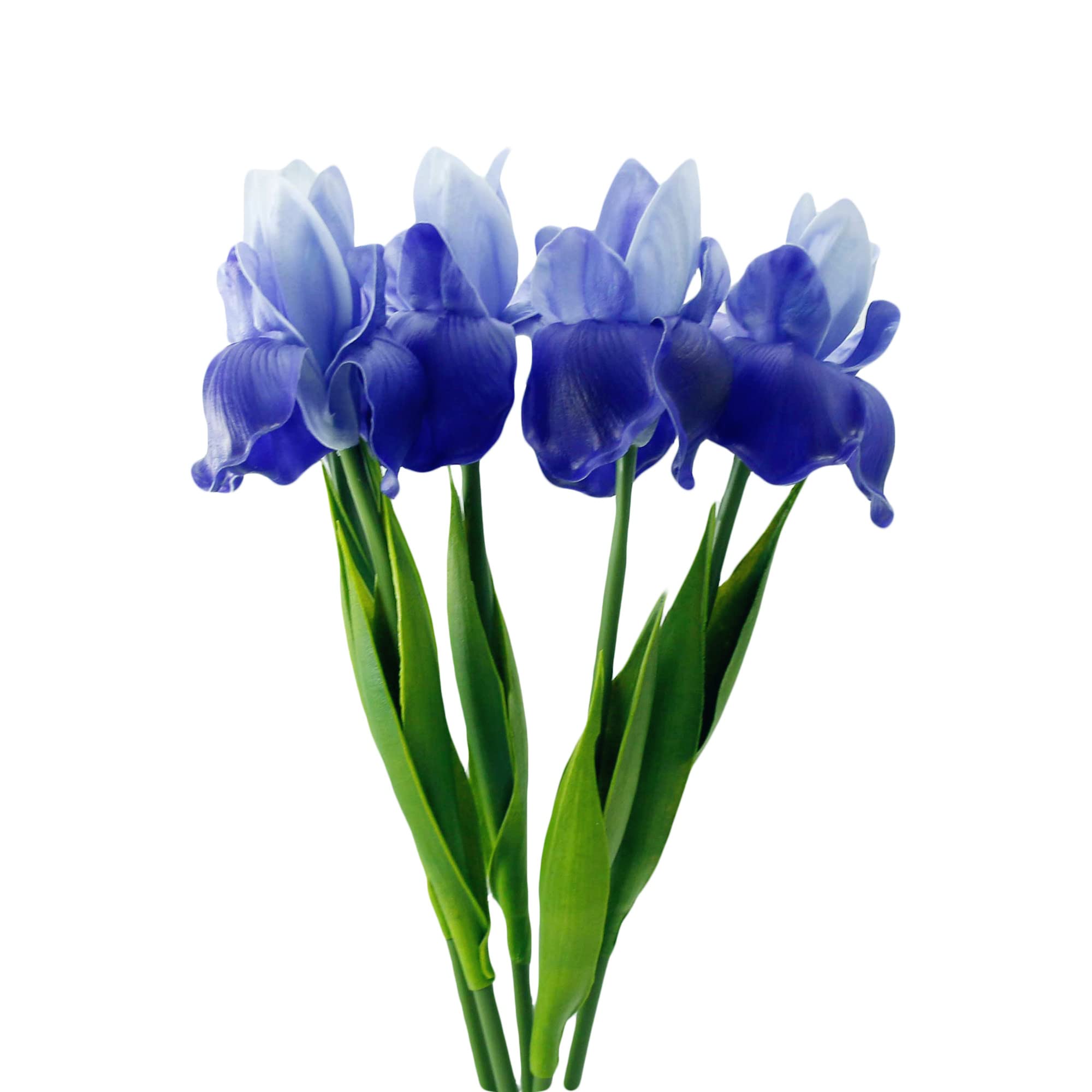 Angel Isabella Pack of 4 Real Touch 16