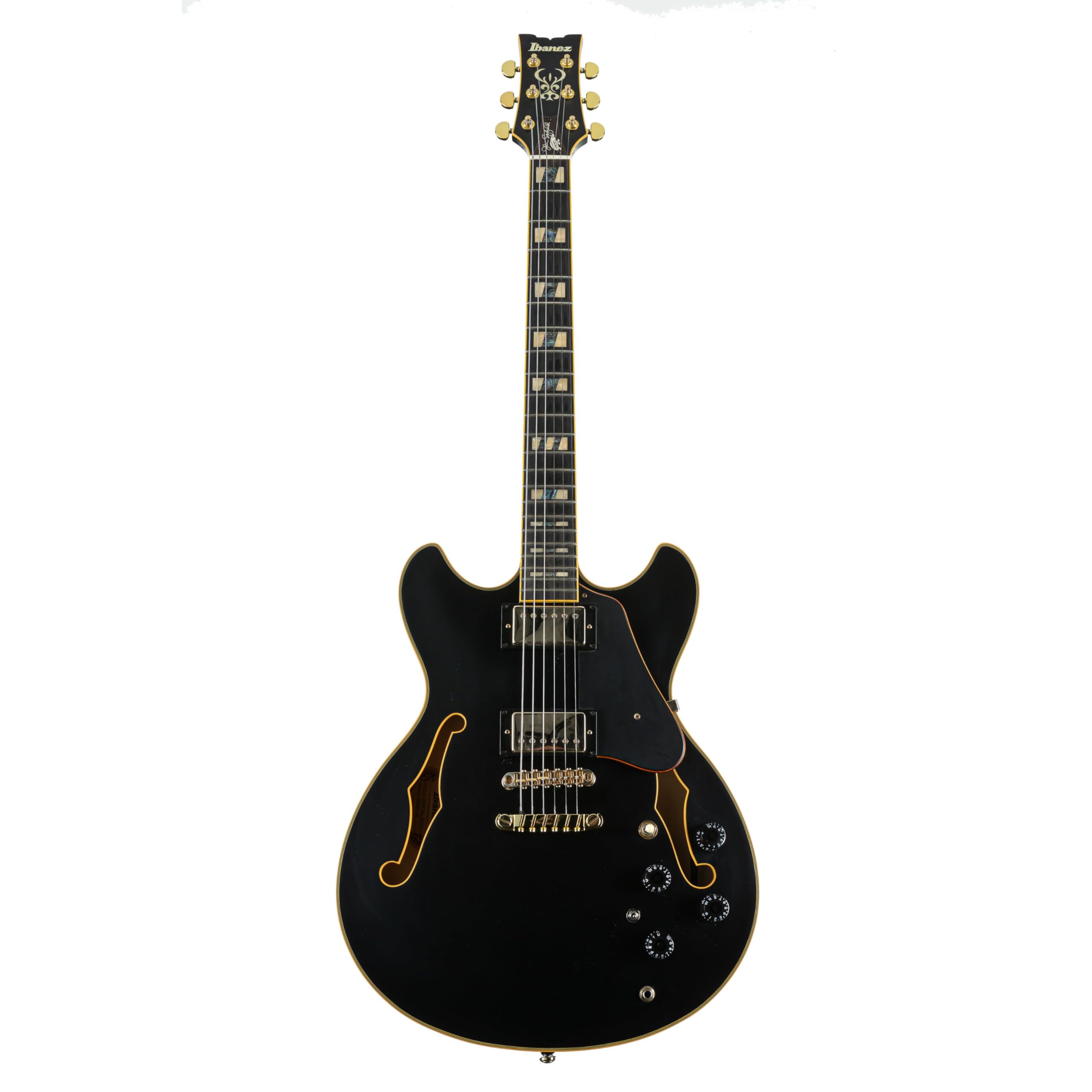 Amazon.com: Ibanez John Scofield JSM20 - Black Low Gloss : Musical