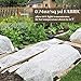 Plant Covers Freeze Protection 10 ft x 30 ft Floating Row Cover 0.9oz/yd² Garden Fabric Plant Cover for Winter Frost/Sun Pest Protection (10FT X 30FT)