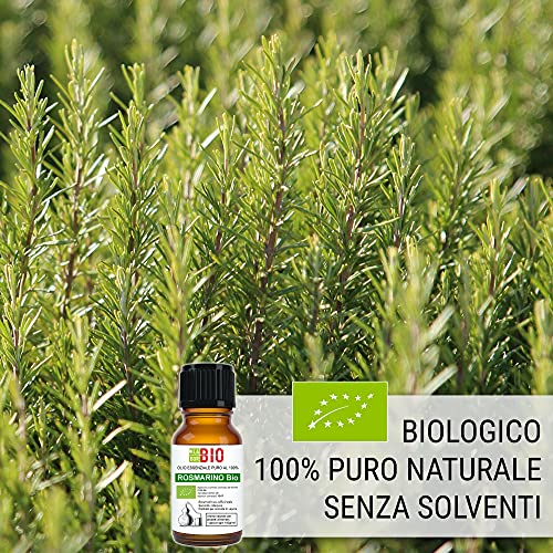 LaborBio Olio essenziale di rosmarino