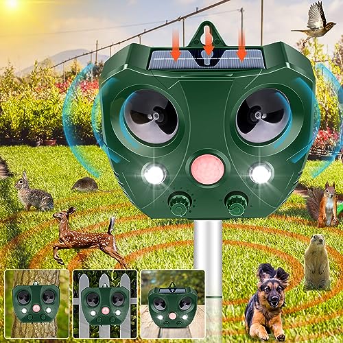 Is Eucalyptus Poisonous To Cats