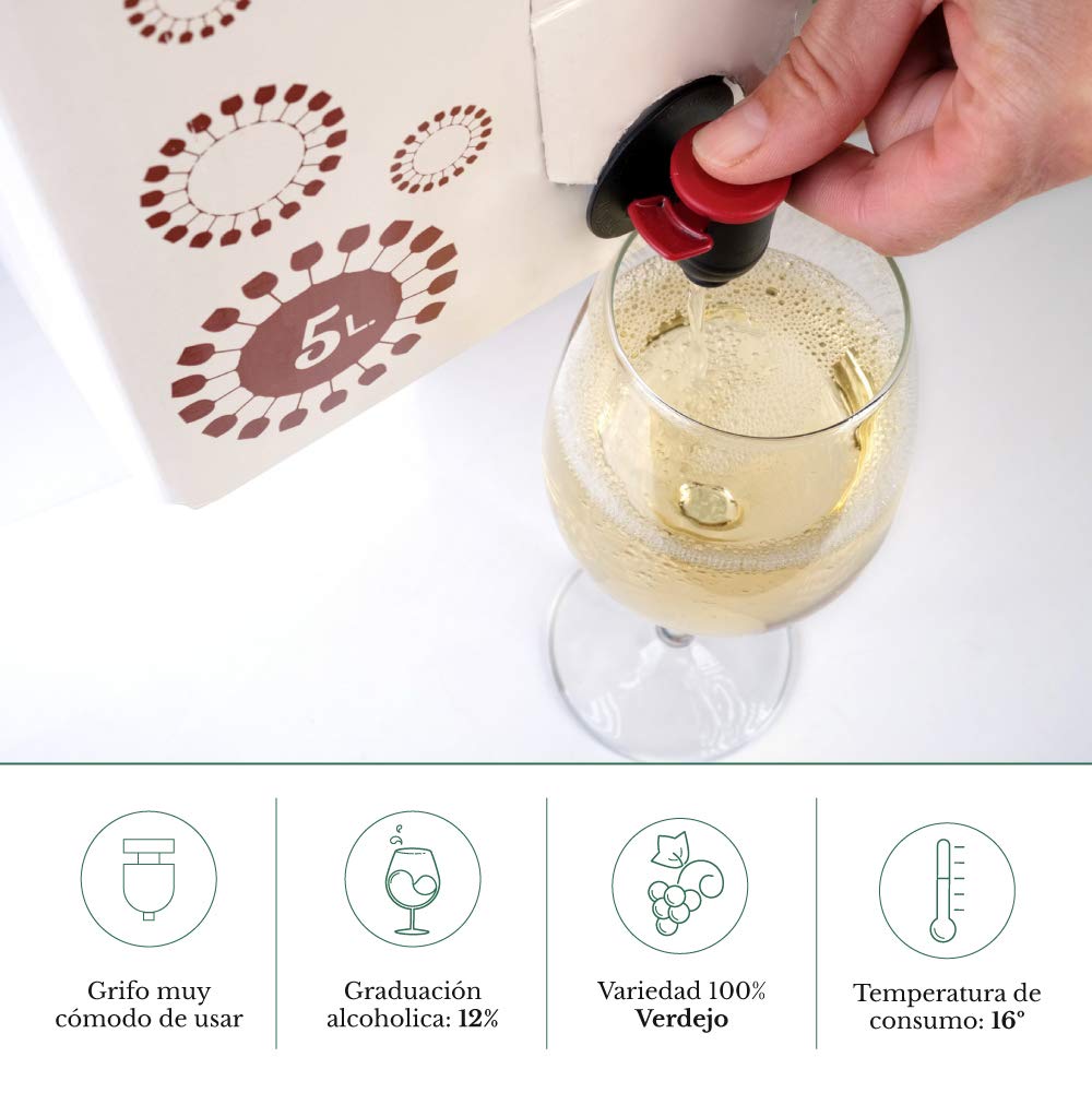 Bag in Box 5L vino blanco verdejo 5 Litros afrutado seco caja de vino blanco con grifo Verdejo Paz VI | Bodega Los Corzos