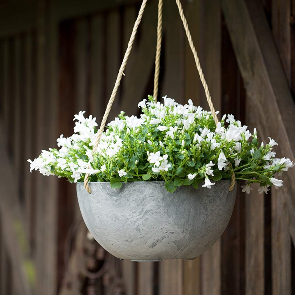 HWHJZG Schimmel Blumentopf Hngendes Becken,  Lavendel-Blumentopf-Jasmin-Blumentopf-Korridor Eaves  Hangable-Blumentopf-Blumen-Grnpflanze, die Plastikblumentopf pflanzt  Werkzeugaufbewahrung: Amazon.de: Garten