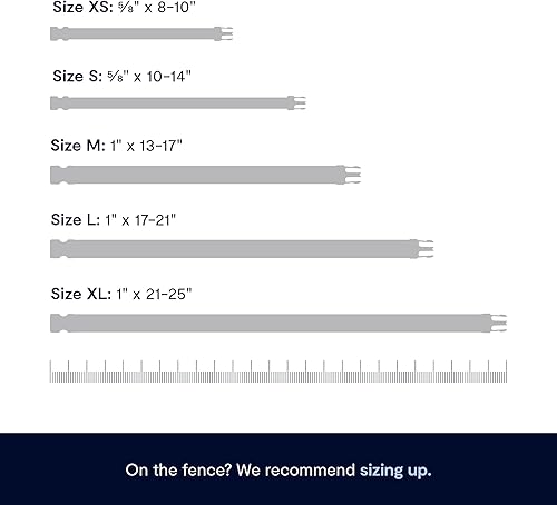 Miniatura 6 de FABLE Collar distintivo, ligero, impermeable y duradero, collar de cincha recubierto con hebilla de aluminio, fácil de poner y quitar y cambiar el