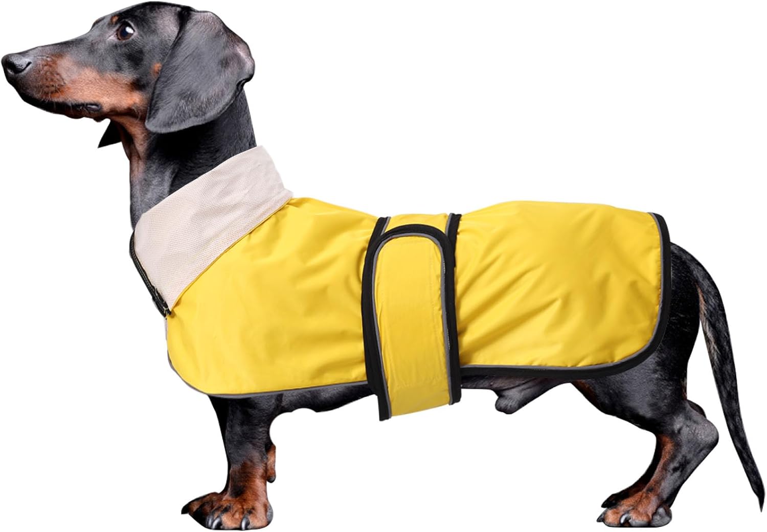 Dachshund Raincoat Weiner Dog Clothes Corgi rain Coat Jacket Hook Loop Closure Great for Dachshund Weiner Corgi Long Back Breeds Red S