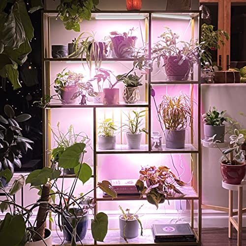 Barrina Grow Light For Indoor Plants, Full Spectrum Sunlight, 1Ft Grow Lamp, Led Grow Light Bulbs, T5 Grow Light Strip, Plug And Play, Pinkish White, 4-Pack #TOP7