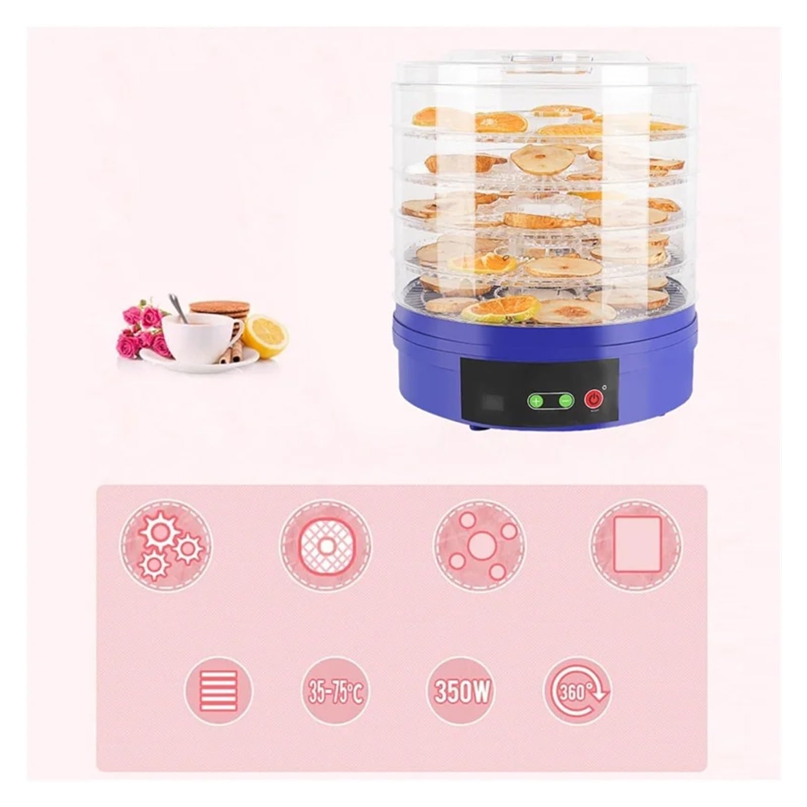 Disidratatore Alimentare 5 Vassoi 350W