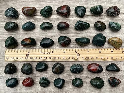 Image of GAF TREASURES 1 /2 LB Bloodstone Tumbled Stones, Polished Natural Bloodstone Gemstone, Bloodstone Healing Crystals (Bloodstone)