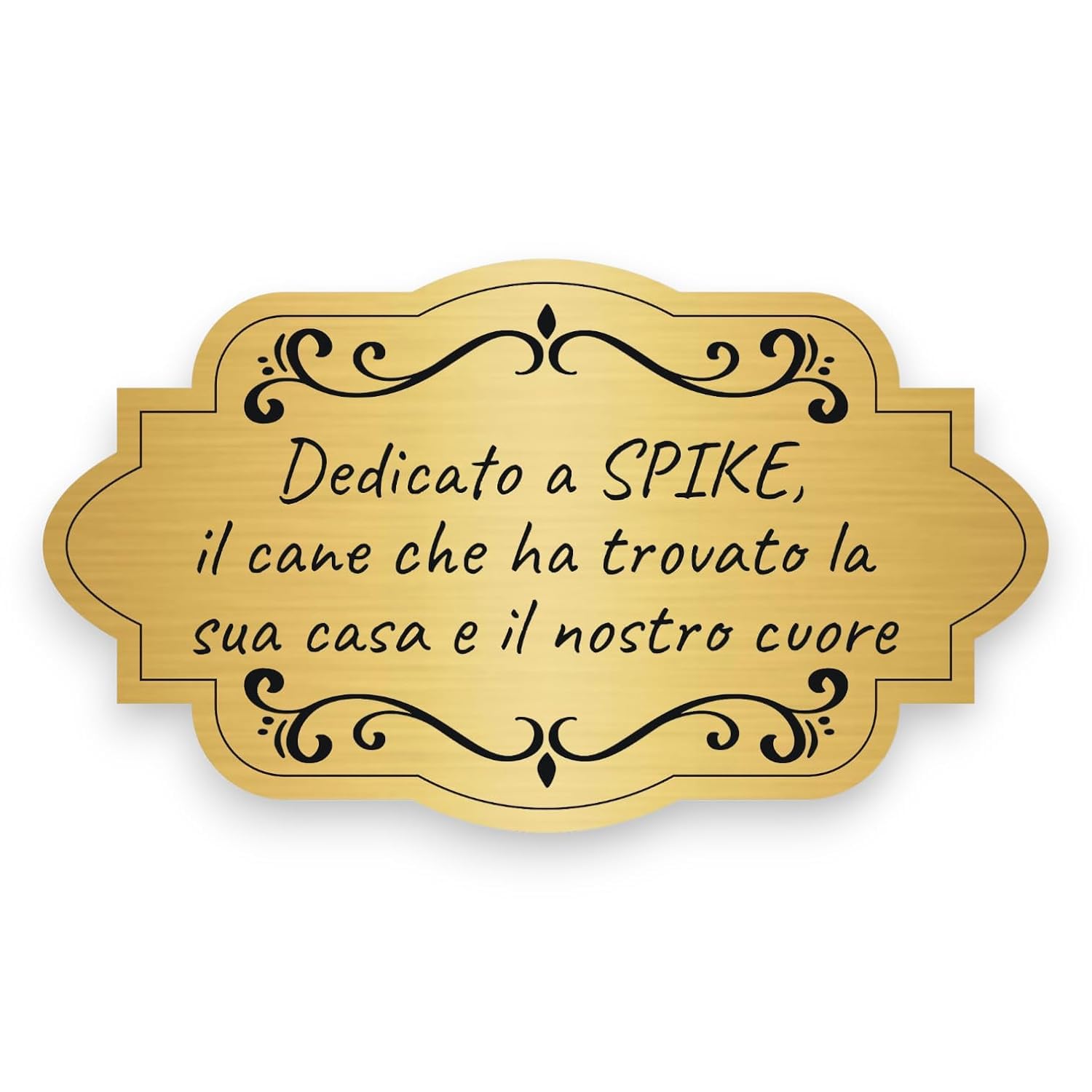 Targa Porta Ingresso Personalizzata (15x8,5 cm) Targhetta Personalizzata Esterno Incisione Laser Targhette Citofono Cassetta Postale Targhe Personalizzate Porta – Lo Realizzo®