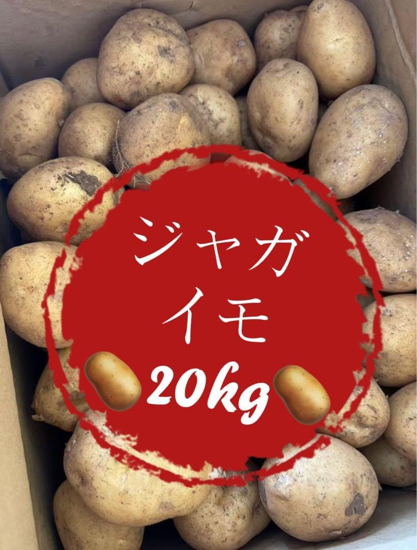 めっちゃ安い 20kg じゃがいも 57 【公式通販】 めっちゃ安い 20kg じゃがいも 57 【公式通販】
