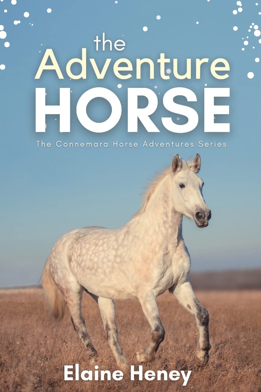 The Adventure Horse - Book 5 in the Connemara Horse Adventure Series for Kids | The Perfect Gift for Children age 8-12 (Connemara Adventures)