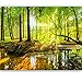 murimage Papel Pintado Bosque 366 x 254 cm Incluyendo Pegamento Fotomurales Vista...