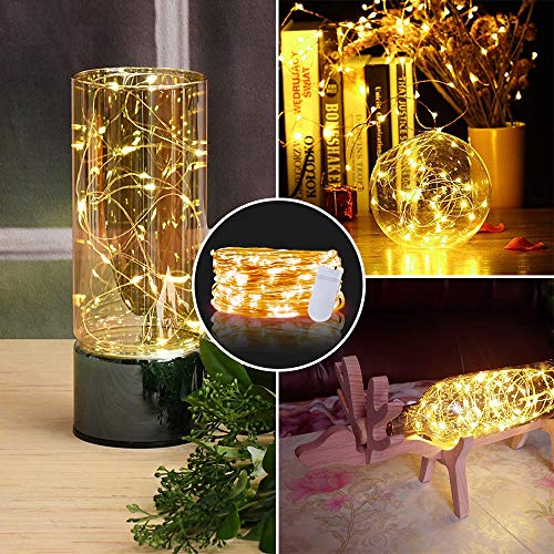 Gladpaws Fairy Lights,12 Pack Led Fairy Lights Battery Operated,7 Feet 20 Led Flexible Firefly Mason Jar Lights Mini String Lights For Diy Wedding Party Bedroom Christmas Decoration (Warm White) #TOP1