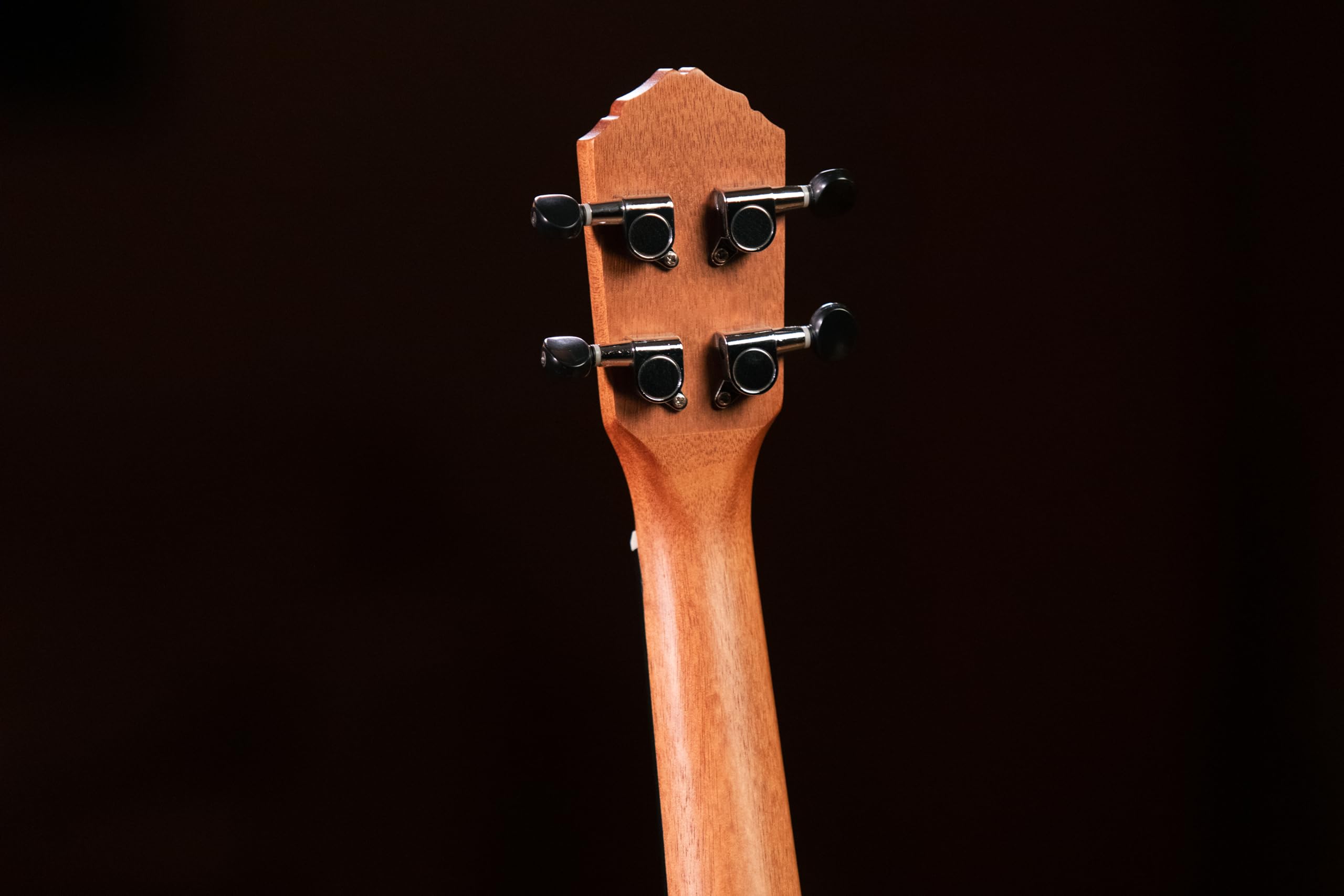 Ortega Guitars Ukulélé Concert Electro-Acoustique – Série Timber – Housse Incluse – Sapele, Naturel (RFU11SE)
