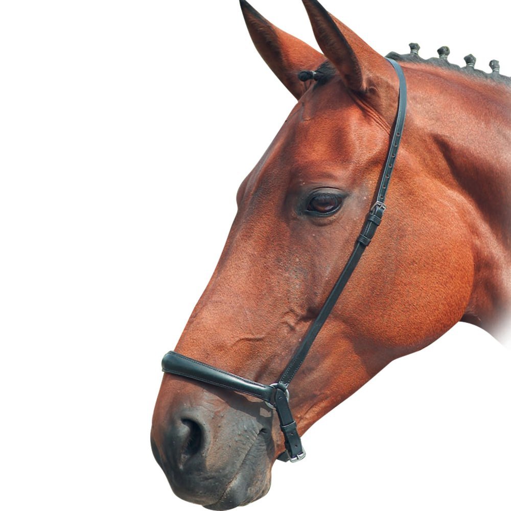 Bleinheim Drop Noseband - Choose Colour & Size