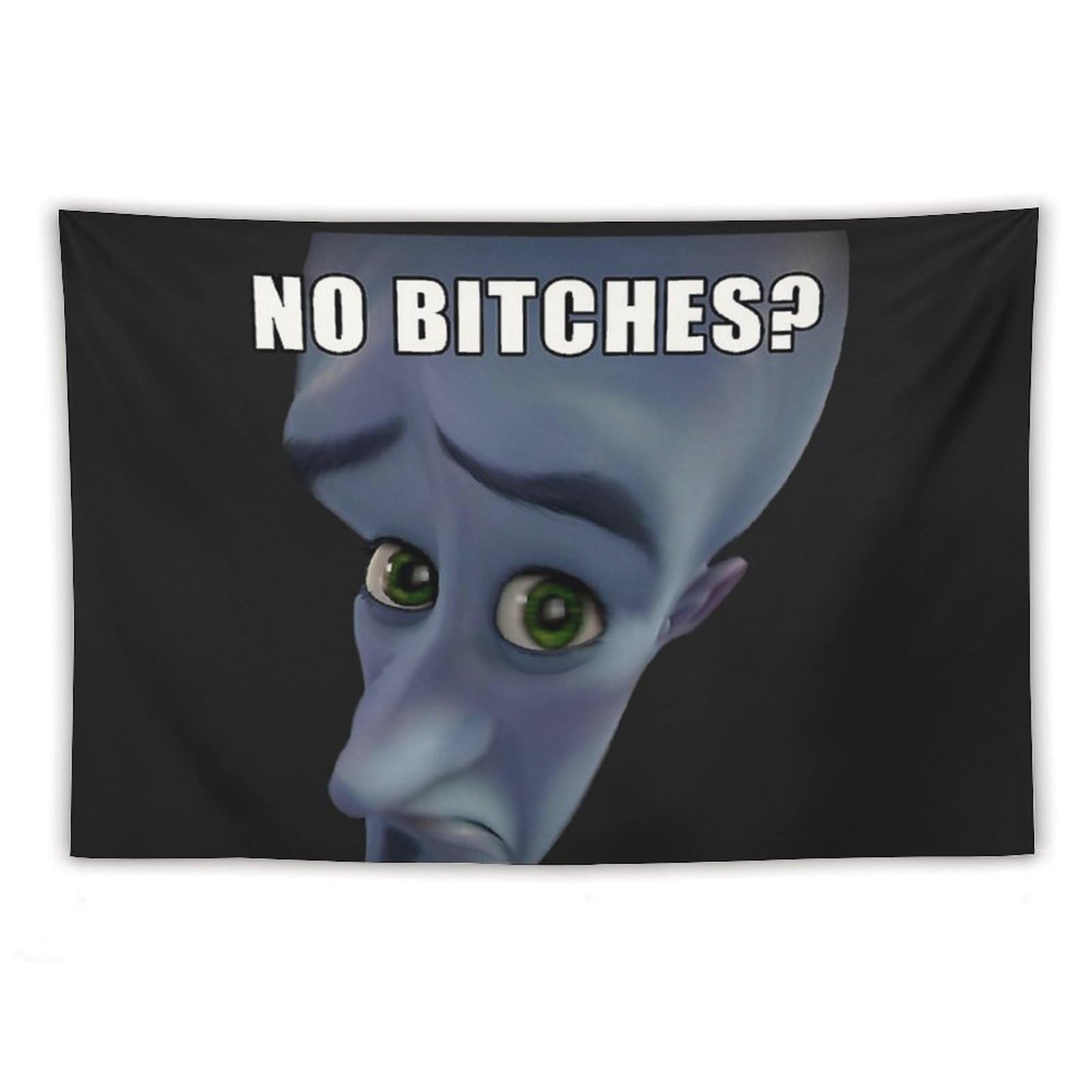 DOBOER Megamind No Bitches Tapestry for College Dorm, Bedroom And Living Room Home Decor 40"x60", Funny Meme Wall Tapestries Hanging for Gifts