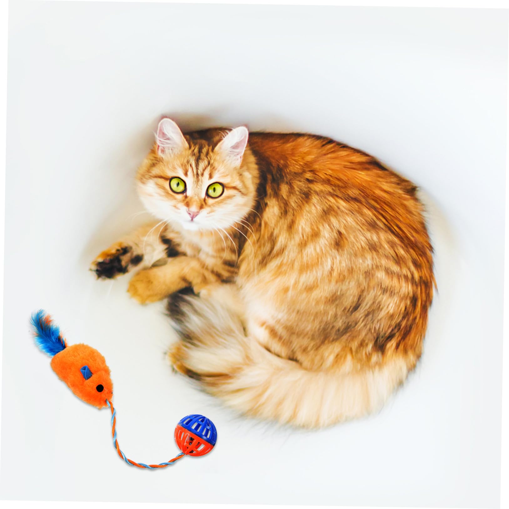 Jouet Interactif et Souris en Peluche pour Chaton avec Clochette en Plastique Soulagement du Stress L'ennui Jouet Portable pour Chat Intérieur