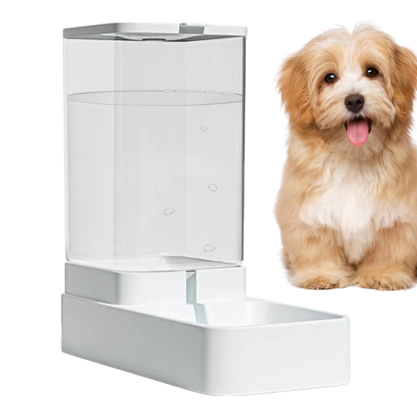 Station alimentation chien et chaton d'intérieur avec programmateur