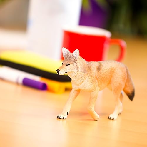 Miniatura 7 de Safari Ltd. Figura de juguete Coyote – Figura detallada de plástico de 6.5 pulgadas – Divertido juguete educativo para niños, niñas y niños a partir