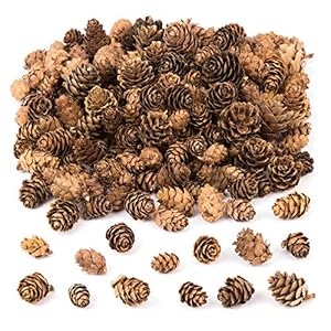 Baker Ross AC492 lariksappels voordeelverpakking — ideaal voor kinderkunst en handwerk, Kerstmis, sensorische stimulatie…