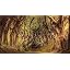Diamond Painting Van Gogh Notte stellata Diamond Painting Kit Completo 4 Pezzi Kit Pittura Adulti 5D Fai da Te Pittura Diamante, Quadri con Perline