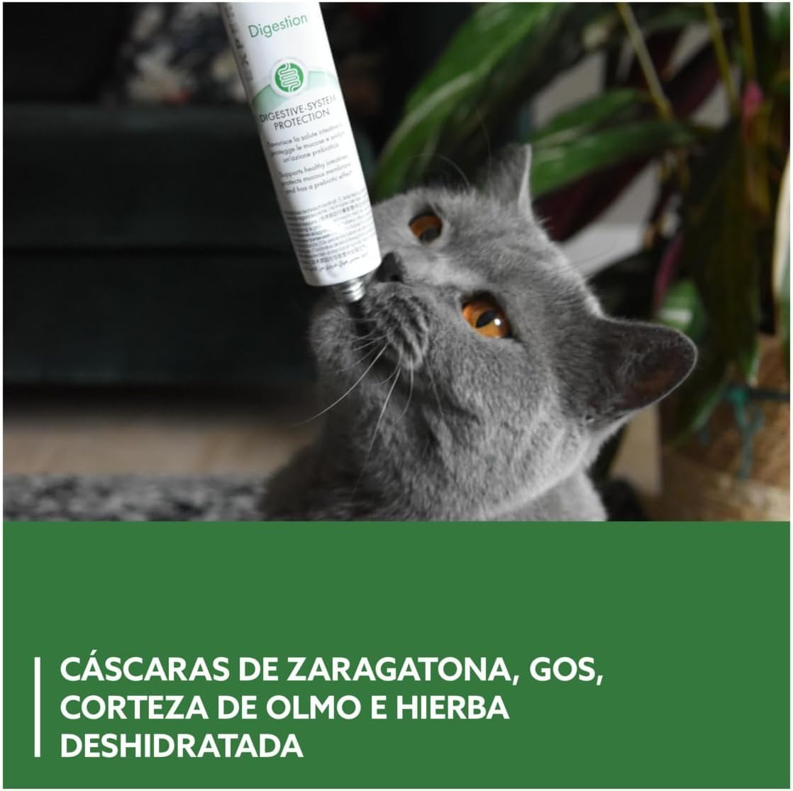 GimCat EXPERT LINE Gastro Intestinal, Pasta funcional para gatos - Protección del sistema digestivo, favorece la salud intestinal, tiene un efecto prebiótico - 1 tubo (1 x 50 g)