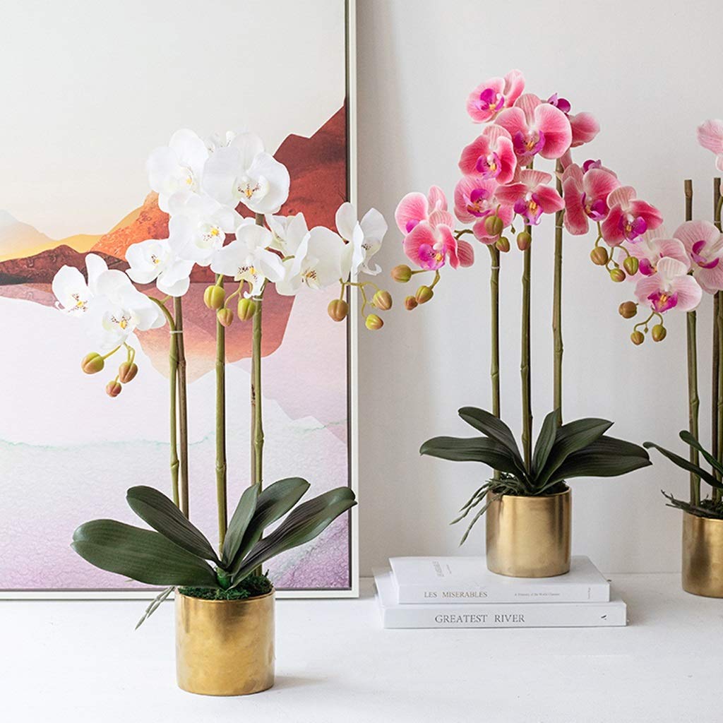 Ensemble de fleurs artificielles Phalaenopsis avec pot de fleurs, orchidée artificielle dans un vase, fausses fleurs pour le salon, belles fleurs et vases artificiels (couleur : B-3 Bra Interesting