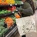 Earthwise Reusable Grocery Bag Shopping Tote Extra Large Heavy Duty 12 oz Cotton Canvas Multi Purpose Durable & Machine Washable Proudly Made in the USA (Farm to Table Natural) (1 bag)
