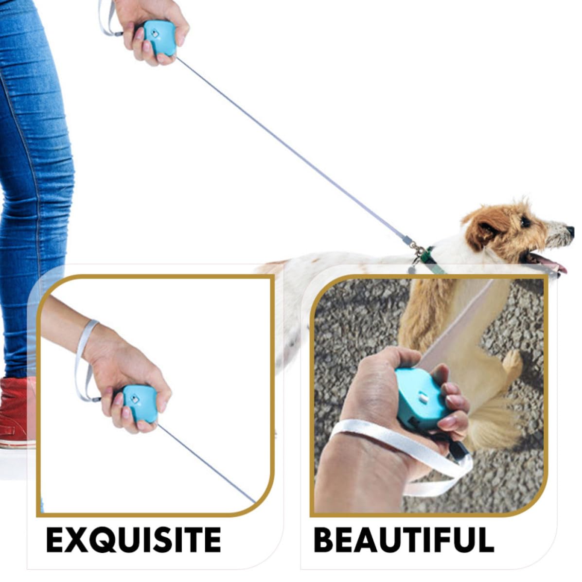 Ausziehbare Hundeleine für Kleine Hunde Tragbare Kleiner Hundeleine aus Nylon mit 2 Meter Länge für Outdoor Spaziergänge