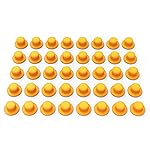 GORTAR 22LR/22WMR Fire Pin Cushions of Snap Caps Training Dummy Rounds - 40 Pcs