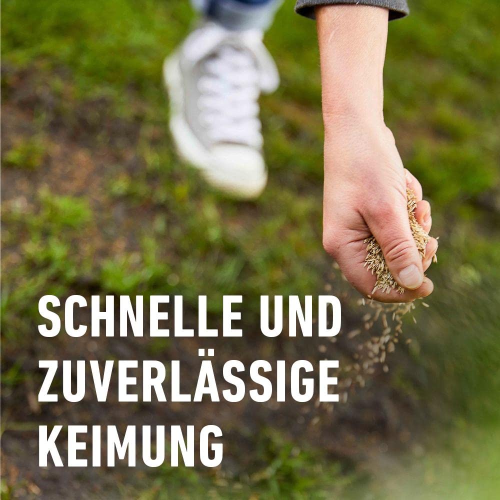 Compo Rasensaat Spiel und Sport, Universelle Rasenmischung, 8 kg, 400 m²
