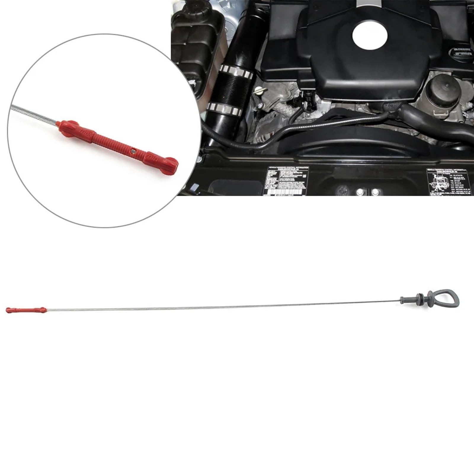Echappement pour Yamaha TDM 900 Ovale Carbon