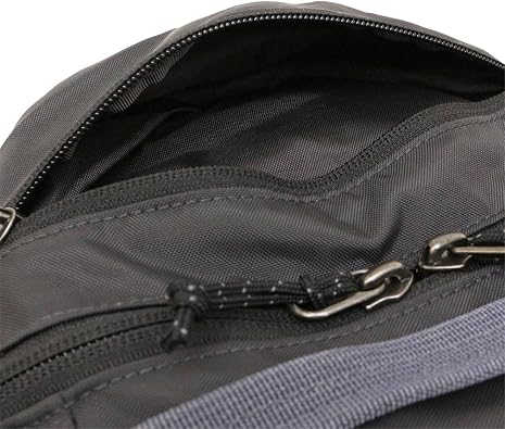 Patagonia Atom Day Pack 24L Smolder Blue 並行輸入品