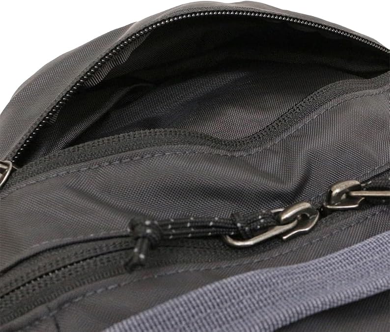 Patagonia Atom Day Pack 24L Smolder Blue 並行輸入品