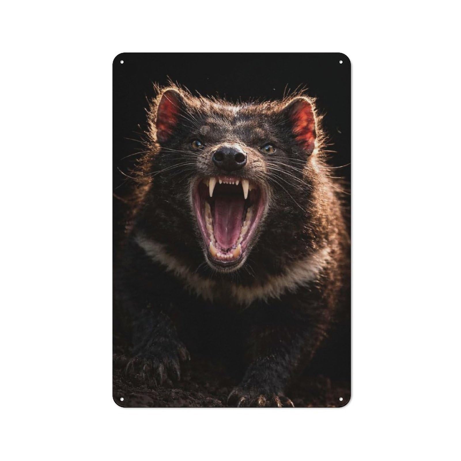 Tin Sign 30x20cm with Tasmanian Devil Roaring for Living Room Wall, Retro Decor, Gift Idea at Christmas for Living Room Decor Lovers