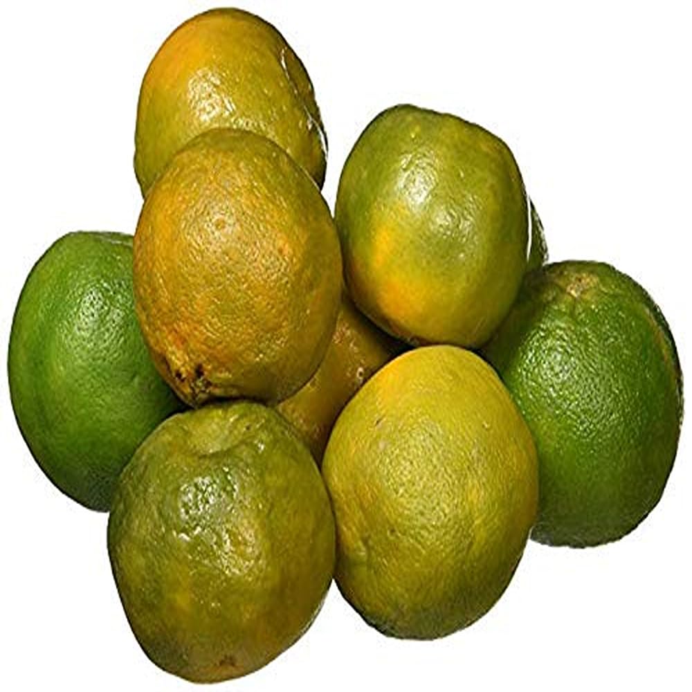 Fresh Organic Orange Nagpur Pouch, 500 g