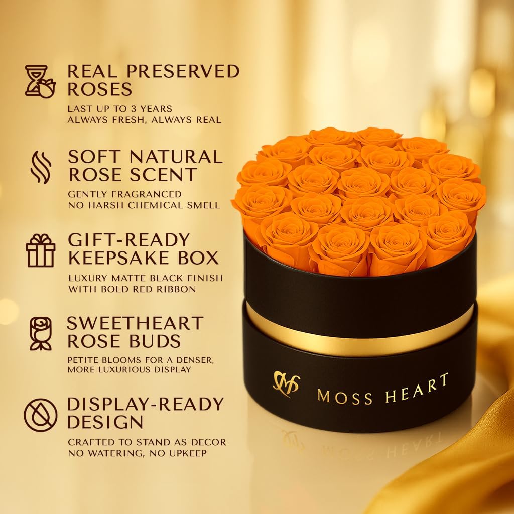 20 Petite Preserved Roses in Round Box, Forever Roses, Long-Lasting 1+ Year, No Watering, Home Décor Centerpiece, Gift for Her, Birthday or Anniversary - Image 3