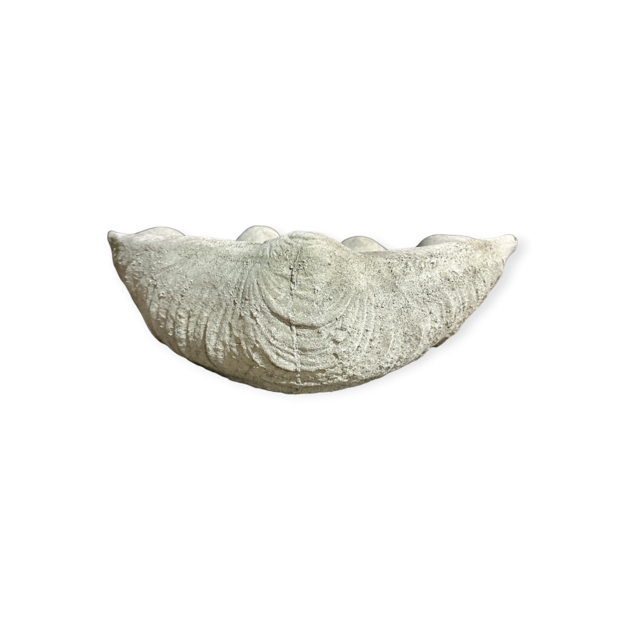Vogelbad Schelp Terra Cotta - Mos kopen