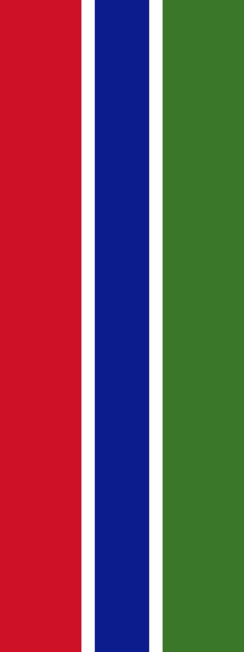 Drapeau Gambie vertical 400x150cm de 6m² pour mât publicitaire