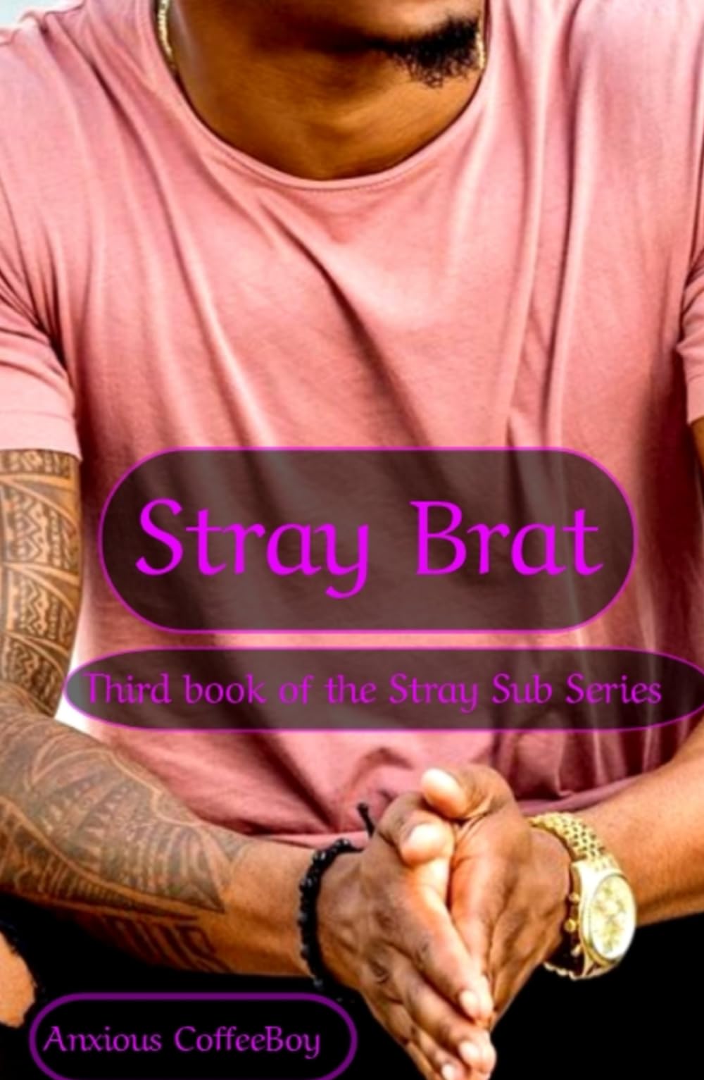 Stray Brat: Third Book in the Stray Sub Series