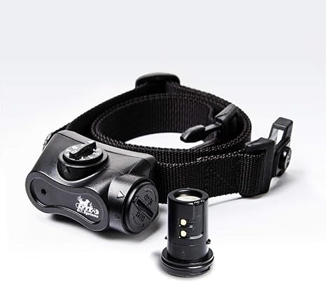 Dt systems bark collar Clearance