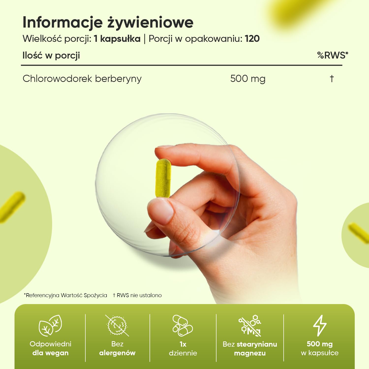 Berberyna 500 mg, opakowanie 120 kapsułek, zaopatrzenie na 4 miesiące – suplement berberyny odpowiedni dla wegan, bez alergenów, bezglutenowy oraz bez GMO, tylko raz dziennie