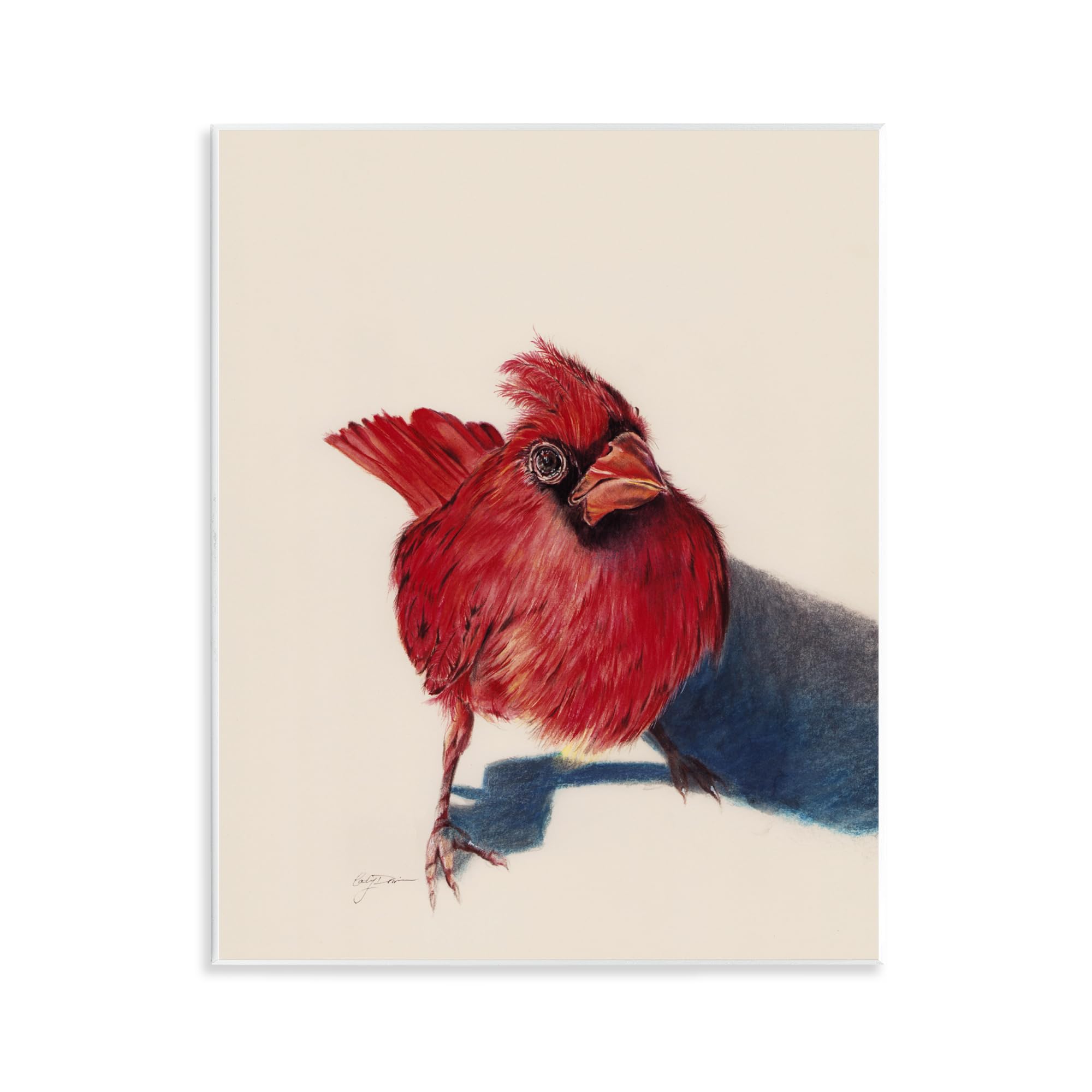 Stupell Industries Standing Cardinal Bird Wall Plaque Art, design by Cady Driver, 14 x 11